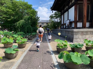 きたやまのひとりごと・・・